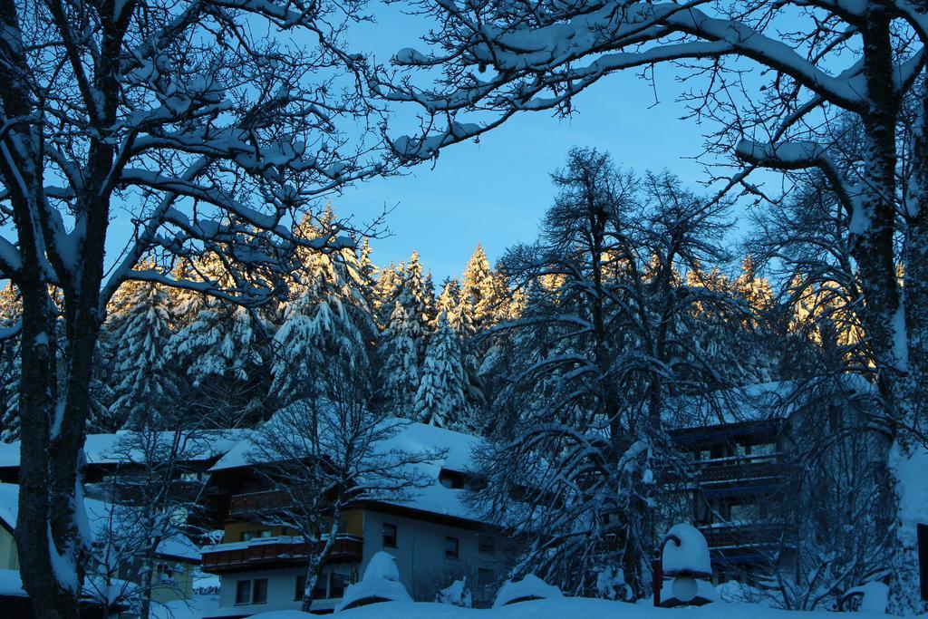 Gasthof Schwarzwaldtanne Schönwalde Eksteriør bilde