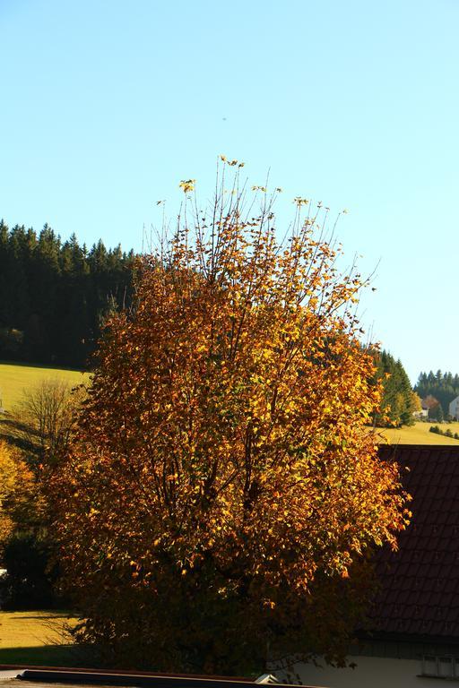 Gasthof Schwarzwaldtanne Schönwalde Eksteriør bilde
